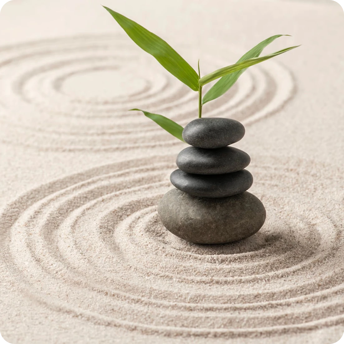 Piedras zen apiladas sobre arena con patrones circulares y una planta verde